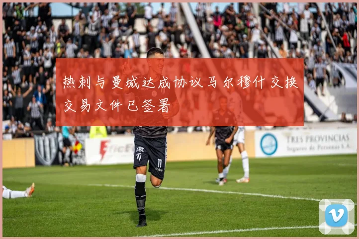 热刺与曼城达成协议马尔穆什交换交易文件已签署